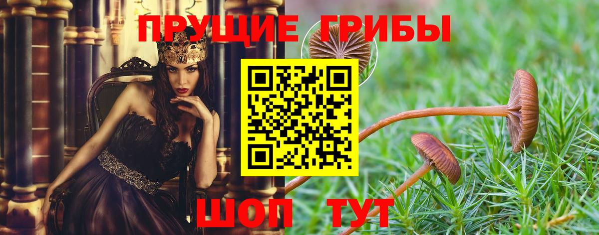 Псилоцибиновые грибы Magic Shrooms Сыктывкар