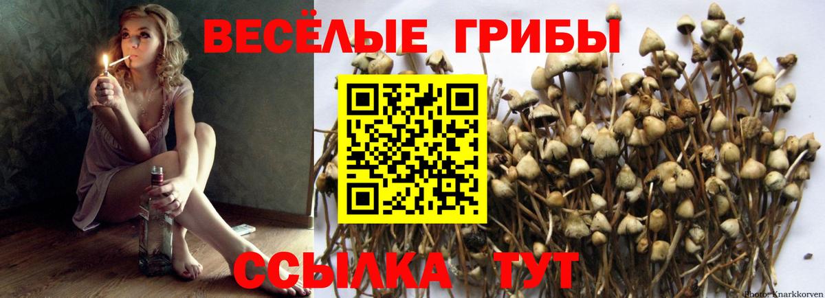 Сыктывкар  Псилоцибиновые грибы мицелий  Вход с VPN 
